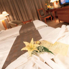 Отель Corniche Al Buhaira Hotel ОАЭ, Шарджа - отзывы, цены и фото номеров - забронировать отель Corniche Al Buhaira Hotel онлайн удобства в номере фото 2