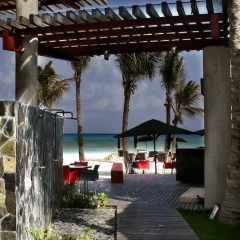 Отель Mosquito Beach Плая-дель-Кармен фото 6