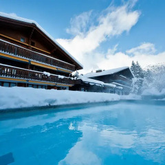 Hotel Alpine Lodge бассейн фото 3