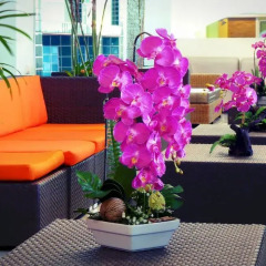 Add Budget Hotel интерьер отеля фото 2