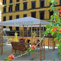 Amadeus Hotel детские мероприятия фото 2