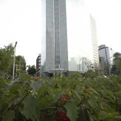 Отель Embassy Suites Mexico City Reforma Мехико фото 7