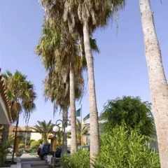 Отель Puerto Caleta парковка
