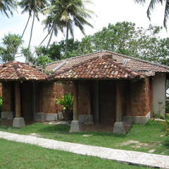 Отель Kosgoda Beach Resort Шри-Ланка, Косгода - отзывы, цены и фото номеров - забронировать отель Kosgoda Beach Resort онлайн комната для гостей фото 2