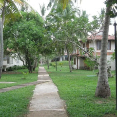 Отель Kosgoda Beach Resort Шри-Ланка, Косгода - отзывы, цены и фото номеров - забронировать отель Kosgoda Beach Resort онлайн фото 5