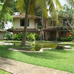 Отель Kosgoda Beach Resort Шри-Ланка, Косгода - отзывы, цены и фото номеров - забронировать отель Kosgoda Beach Resort онлайн фото 4