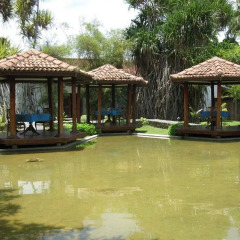 Отель Kosgoda Beach Resort Шри-Ланка, Косгода - отзывы, цены и фото номеров - забронировать отель Kosgoda Beach Resort онлайн