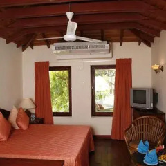 Отель Kosgoda Beach Resort Шри-Ланка, Косгода - отзывы, цены и фото номеров - забронировать отель Kosgoda Beach Resort онлайн комната для гостей фото 5