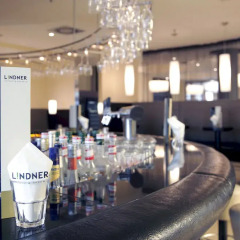 Lindner Hotel Am Belvedere гостиничный бар