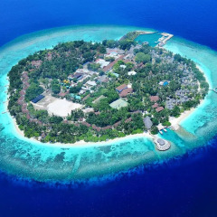 Отель Bandos Maldives фото 4