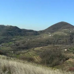 Отель Villa Del Poeta Региональный парк Colli Euganei фото 2