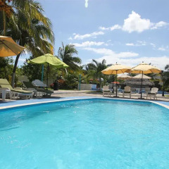 Отель Calypso Hotel Cancun Мексика, Канкун - отзывы, цены и фото номеров - забронировать отель Calypso Hotel Cancun онлайн бассейн фото 2