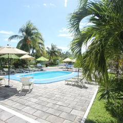 Отель Calypso Hotel Cancun Мексика, Канкун - отзывы, цены и фото номеров - забронировать отель Calypso Hotel Cancun онлайн бассейн