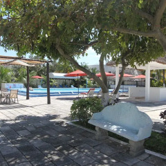 Отель Calypso Hotel Cancun Мексика, Канкун - отзывы, цены и фото номеров - забронировать отель Calypso Hotel Cancun онлайн сад