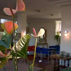 Отель Recina Hotel Италия, Монтекассино - отзывы, цены и фото номеров - забронировать отель Recina Hotel онлайн гостиничный бар
