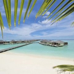 Отель Paradise Island Resort & Spa пляж