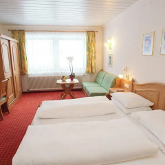 AlpenParks Hotel & Apartment Central детские мероприятия