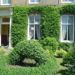 Отель Ivy Guest House Великобритания, Эдинбург - отзывы, цены и фото номеров - забронировать отель Ivy Guest House онлайн
