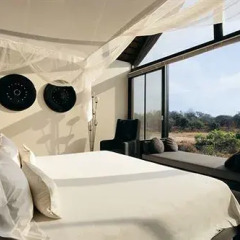 Отель Lion Sands Ivory Lodge Южная Африка, Национальный парк Крюгера - отзывы, цены и фото номеров - забронировать отель Lion Sands Ivory Lodge онлайн комната для гостей фото 3