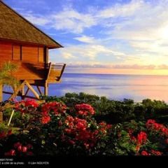 Отель Legends Resort Moorea Французская Полинезия, Муреа - отзывы, цены и фото номеров - забронировать отель Legends Resort Moorea онлайн балкон