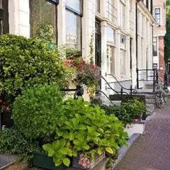 Отель Amsterdam Bed and Breakfast Barangay Нидерланды, Амстердам - отзывы, цены и фото номеров - забронировать отель Amsterdam Bed and Breakfast Barangay онлайн фото 10