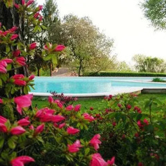 Отель Il Giardino Di Diana Италия, Неми - отзывы, цены и фото номеров - забронировать отель Il Giardino Di Diana онлайн бассейн