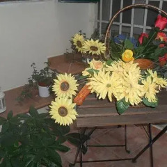 Отель Floralia Италия, Флоренция - отзывы, цены и фото номеров - забронировать отель Floralia онлайн питание