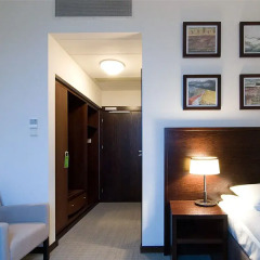 Europeum Hotel 3* Номер Делюкс с различными типами кроватей фото 6