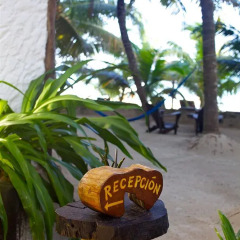 Отель Beachfront Hotel La Palapa - Adults Only Мексика, Остров Ольбокс - отзывы, цены и фото номеров - забронировать отель Beachfront Hotel La Palapa - Adults Only онлайн парковка