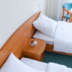 Marins Park Hotel Novosibirsk комната для гостей фото 2