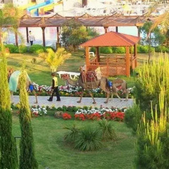Club Calimera Serra Palace Турция, Сиде - отзывы, цены и фото номеров - забронировать отель Club Calimera Serra Palace онлайн фото 4