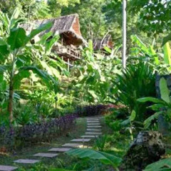 Отель Tenta Nakara Resort and Restaurant Таиланд, Ко-Нака-Яй - отзывы, цены и фото номеров - забронировать отель Tenta Nakara Resort and Restaurant онлайн фото 13