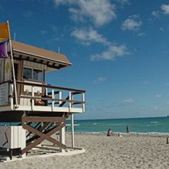 Отель The Loft Hotel США, Майами-Бич - 8 отзывов об отеле, цены и фото номеров - забронировать отель The Loft Hotel онлайн пляж