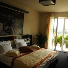 Gotth'Art Wellness & Conference Hotel комната для гостей фото 2
