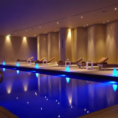 Отель Park Plaza Westminster Bridge London бассейн