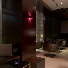 Отель Park Plaza Westminster Bridge London гостиничный бар