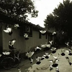 Отель Beijing Hutong Culture Inn Китай, Пекин - отзывы, цены и фото номеров - забронировать отель Beijing Hutong Culture Inn онлайн фото 2
