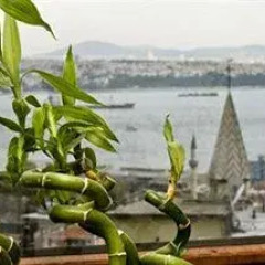 Отель Galateia Residence Стамбул приотельная территория