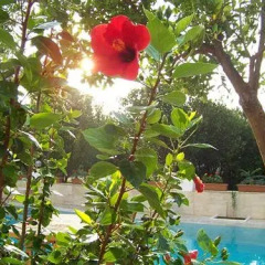 Ipek Boutique Hotel детские мероприятия фото 2