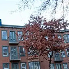 Отель Times Square Suites Канада, Ванкувер - отзывы, цены и фото номеров - забронировать отель Times Square Suites онлайн фото 4