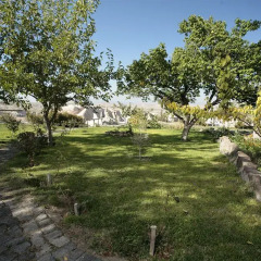 Buket Cave Hotel Турция, Учисар - отзывы, цены и фото номеров - забронировать отель Buket Cave Hotel онлайн фото 9