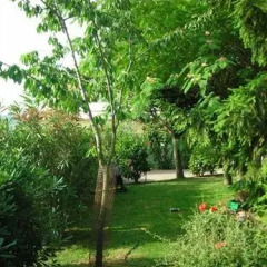 Отель La Collina Di Abbadia Озимо фото 5