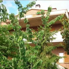 Отель La Collina Di Abbadia Озимо фото 2