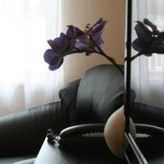 Hotel Vantis фитнесс-зал