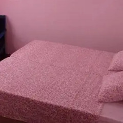 Little Wing Hostel комната для гостей фото 2