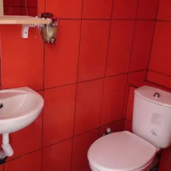 Little Wing Hostel ванная
