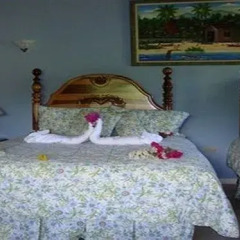 Paradise Tropical Spice in Runaway Bay, Jamaica from 286$, photos, reviews - zenhotels.com spa