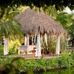 Отель Melia Puerto Vallarta - Все включено фото 9