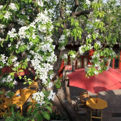 Flowering House Courtyard Hotel фото 9