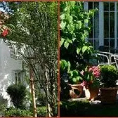 Отель Villa am Schlosspark Германия, Мюнхен - отзывы, цены и фото номеров - забронировать отель Villa am Schlosspark онлайн фото 13